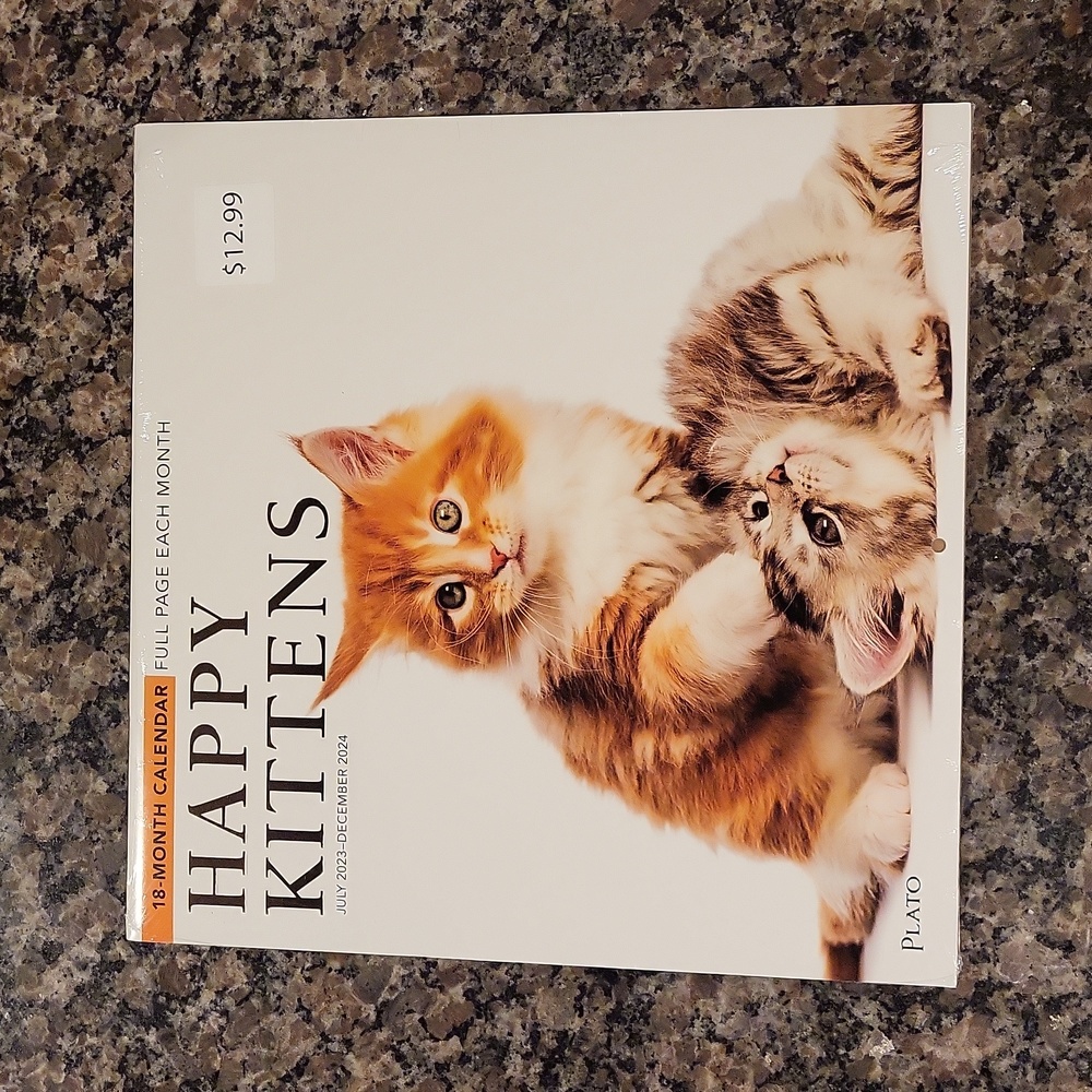 Happy Kittens full page each month 18 month calendar new sealed July 2023-Decemb